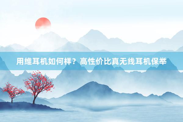 用维耳机如何样？高性价比真无线耳机保举
